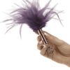Fifty Shades Freed Feather Tickler LHR-40174