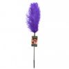 Sportsheets Ostrich Feather Tickler- Purple OU-027-PNK