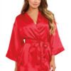 Dreamgirl Robe, Chemise, and Padded Hanger- Small Red LA-2170BLK